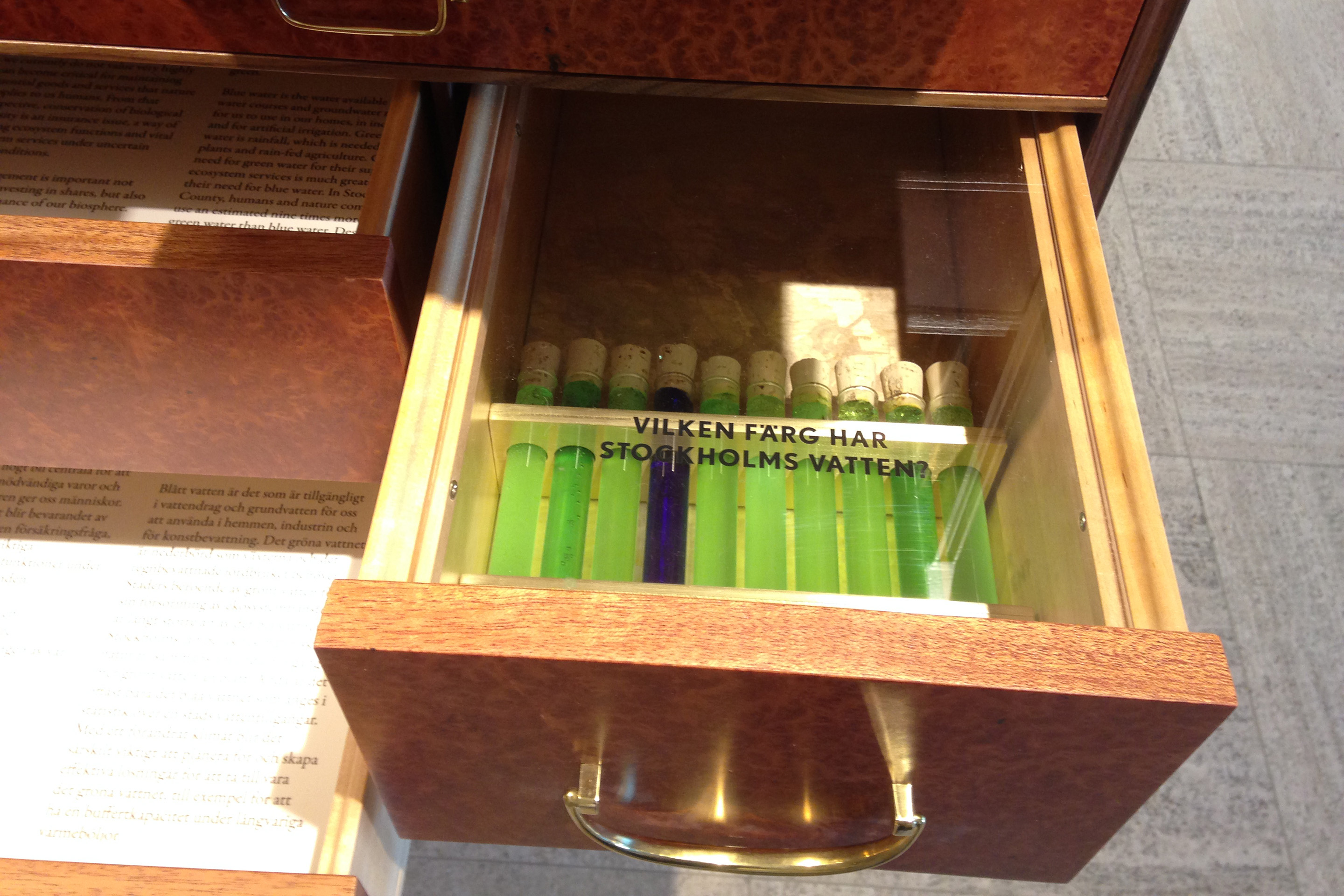 Foto 2015-04-14 07 53 44